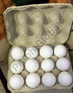 White Paper 12 Piece Egg Tray with Lock