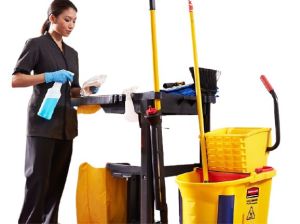 domestic housekeeping services