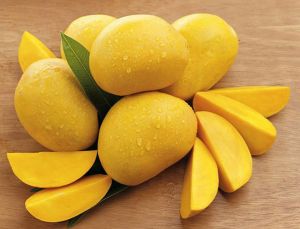 green talala gir organic kesar mango