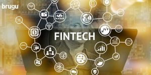 Fintech Software
