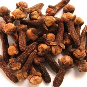 CLOVE OIL BUD