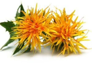 Safflower Oil