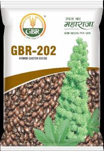 GBR-202 Castor Seeds