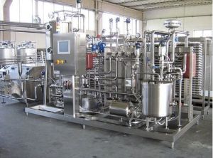 Elecric Dairy Processing Plant, Certification : FOOD GRADE