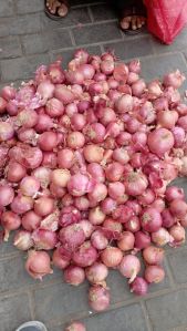 fresh red onion