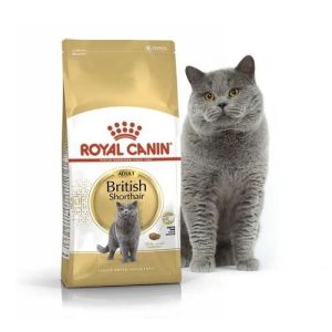 2 Kg Royal Canin British Short Hair Cat Food