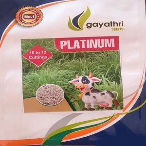 Platinum Gayathri Paddy Seeds