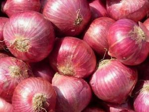 A Grade Red Onion