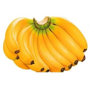 fresh banana