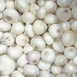 Natural White Onion