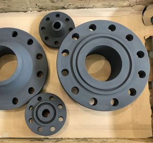Low Temperature Carbon Steel Groove and Tongue Flanges