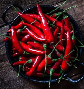 PREMIUM RED CHILLI