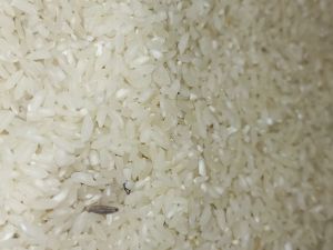 Kala Namak rice