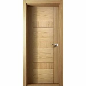 Fancy Wooden Flush Door