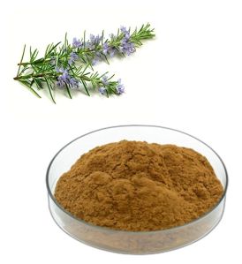 Rosemary Extract 6% Powder