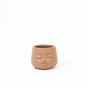 Face Shape Terracotta Clay Planter