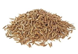 natural cumin seeds