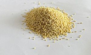 proso millet ( Non germinated )