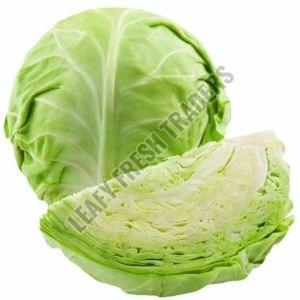 Fresh Cabbage, Packaging Size : 5-10kg