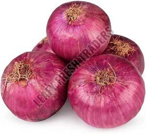 Fresh Red Onion, Packaging Size : 50 Kg, Packaging Type : Gunny Bag