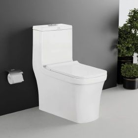 Venus One Piece Toilet Closet