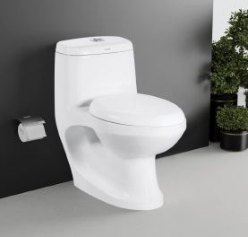 Vista One Piece Toilet Closet