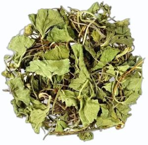 Dried Brahmi Leaves, Packaging Type : Plastic Bag