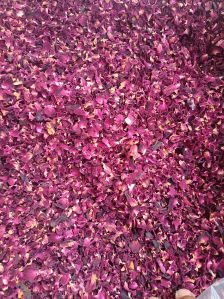 Dry Rose Petals