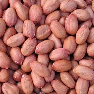 Groundnut Seeds For Human Consumption