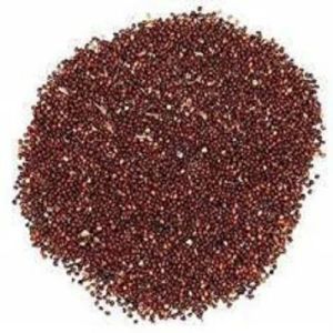 Natural Red Tulsi Seeds For Used In Herbal Medicines