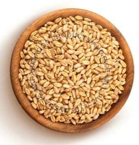 Natural Spelt Wheat Grains For Making Bread, Cookies, Bakery Products