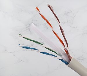 Cat 6 Cable