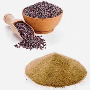 Black Mustard Powder