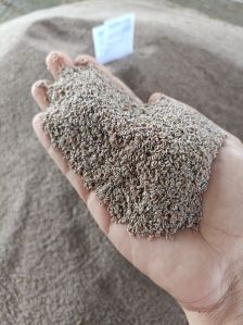 Organic Ispaghula Seeds For Medicinal, Agriculture