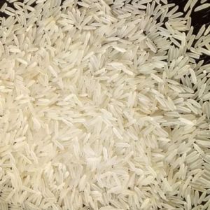 1509 Steam Super Tibar Basmati Rice, Variety : Long Grain