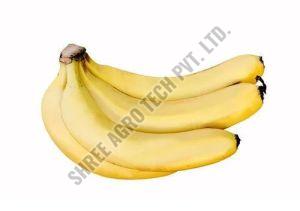 Fresh Yellow Ripe Banana