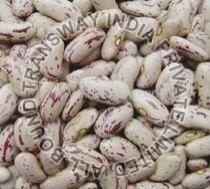 Organic Speckled Kidney Beans For Cooking