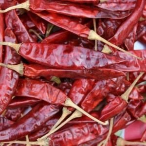 Dried Chillies