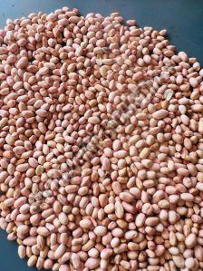 100 & 120 Grade New HPS Groundnut Seeds