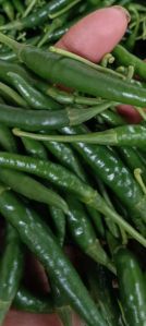 A Grade Green Chilli