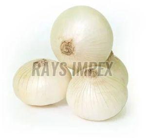 A Grade White Onion, Packaging Size : 20 Kg