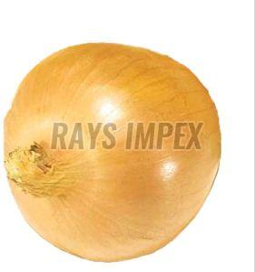 Natural A Grade Yellow Onion For Food