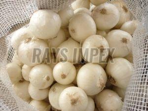 Fresh White Onion, Packaging Size : 20 Kg