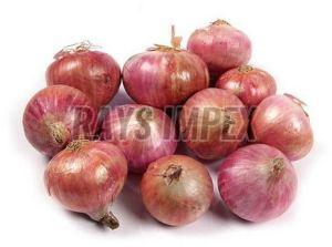 Natural Red Onion For Food