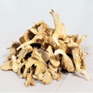 Dried Oyster Mushroom For Cooking