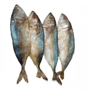 Dried Mackerel Fish