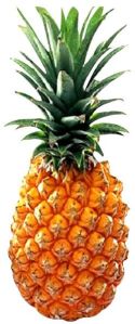 Fresh Pineapple