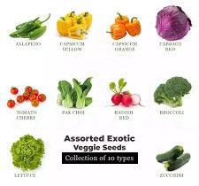 Exotic Vegetables, Packaging Type : Net Bag