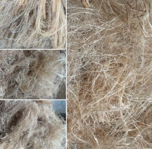 Banana Fiber For Paper Products