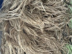 Banana Fiber Uncombed, Color : Brown